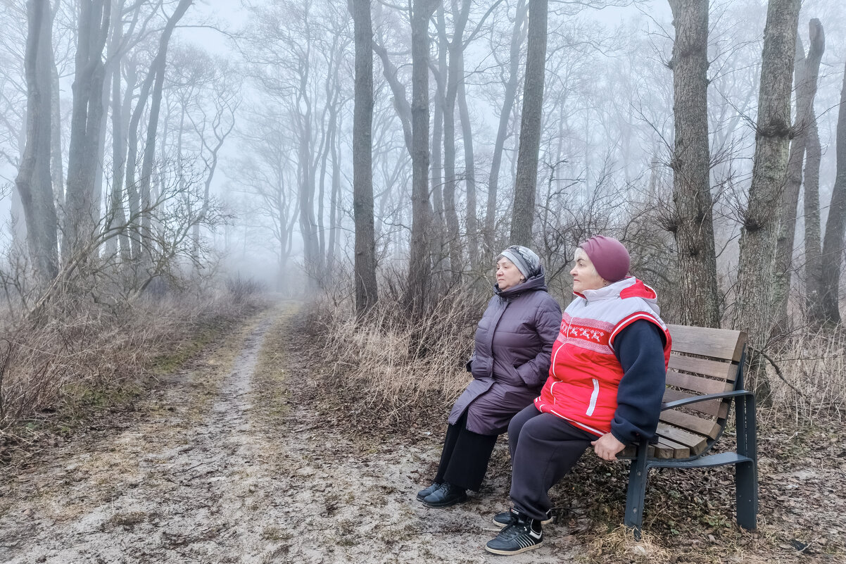 Осень жизни... - Sergey Осень жизни... - Sergey