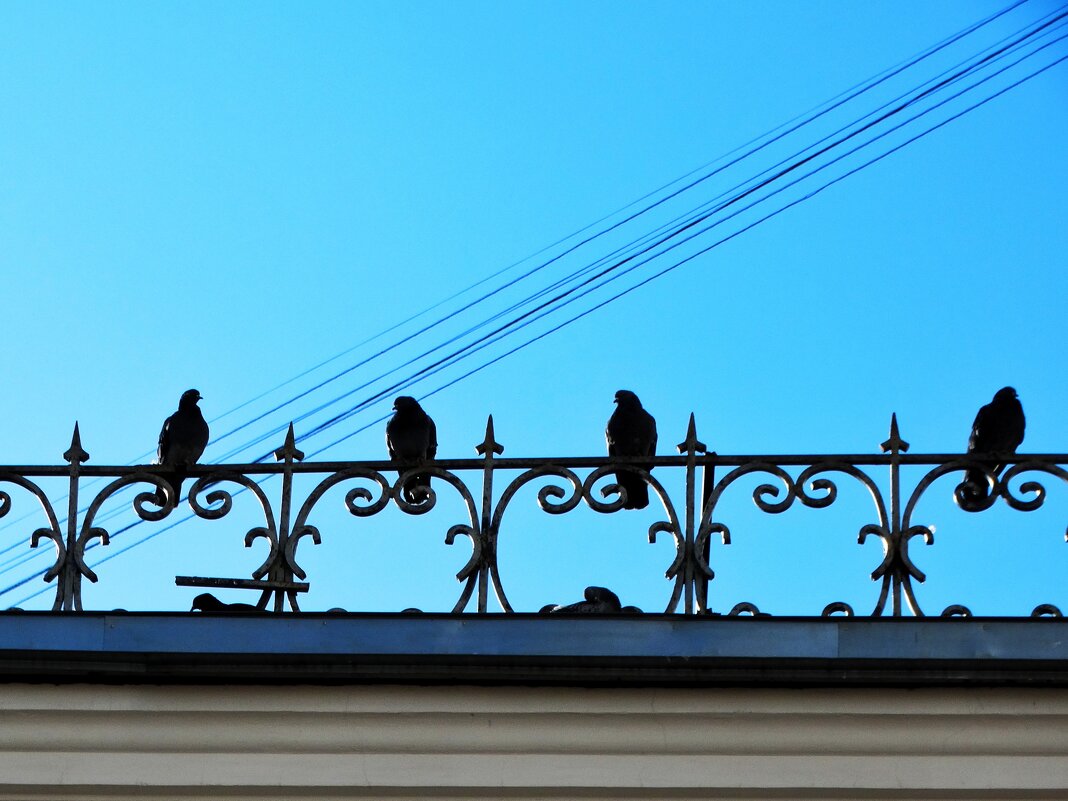 Из фотопрогулки с OPEN FOTO - svk *