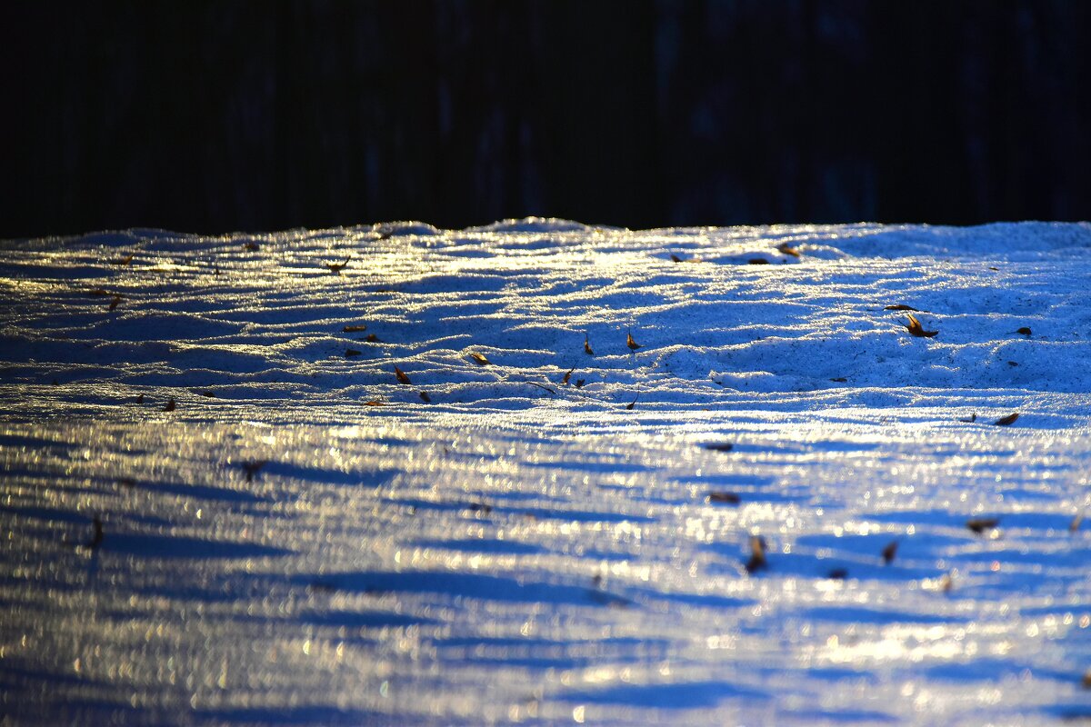 Последний снег. - Наталья Вязигина Последний снег. - Наталья Вязигина