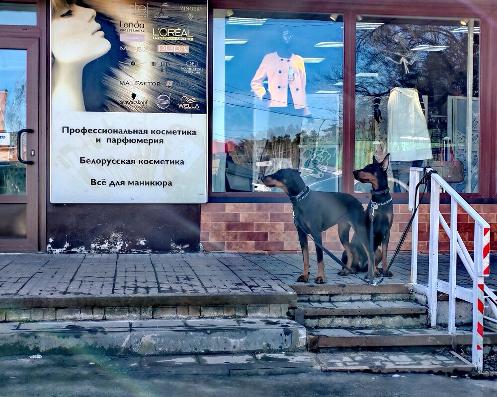 эх,Вася, а сказал за мясом пошёл.... - Любовь эх,Вася, а сказал за мясом пошёл.... - Любовь