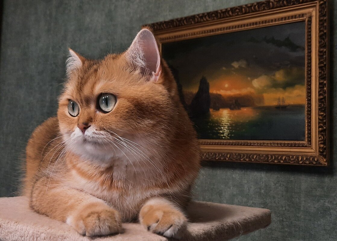 Мурка - Мария Гуськова