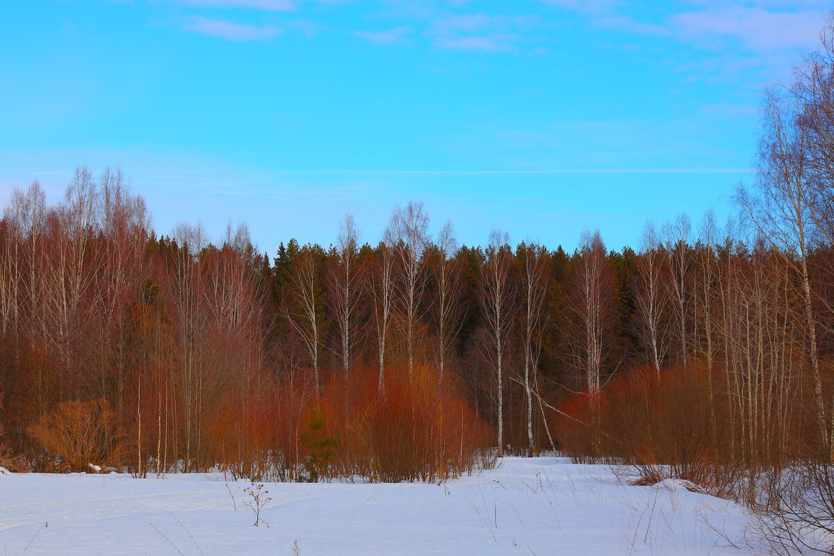 весна - Владимир иванов весна - Владимир иванов