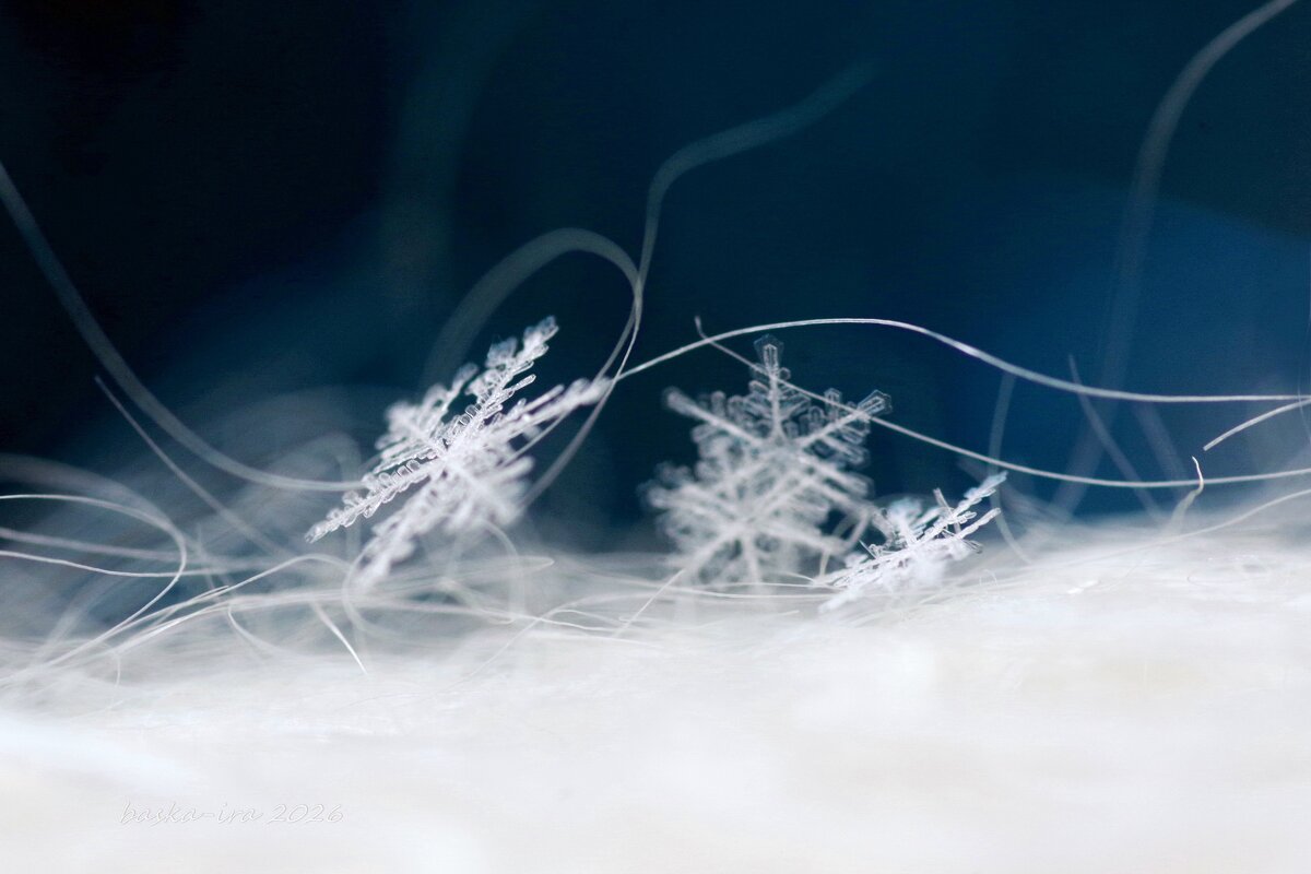 Вальс снежинок 2026 - Ирина Баскакова