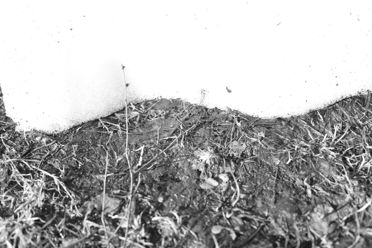 Мечты о ч/б Лейке 66. - Михаил Елочкин Мечты о ч/б Лейке 66. - Михаил Елочкин