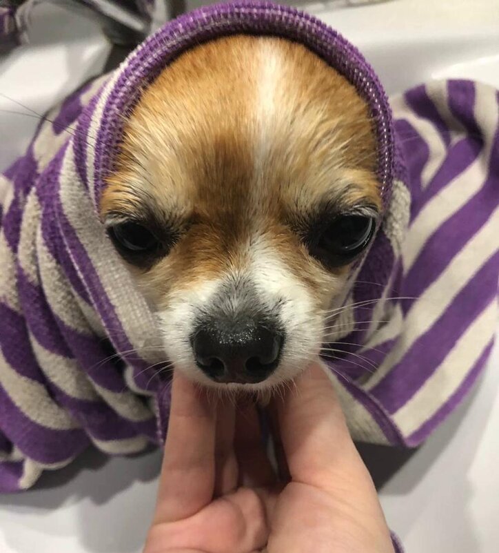 – С лёгким па́ром!.. - Михаил Андреев