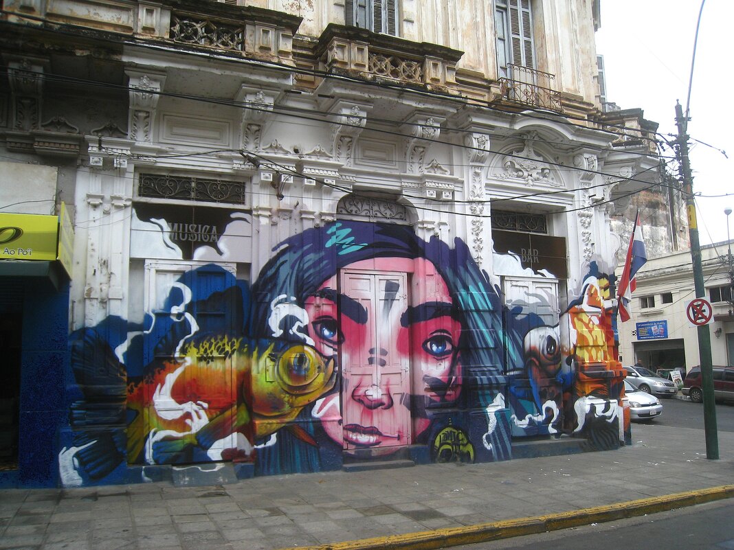 Домик расписной, парагвайский. - unix (Илья Утропов)