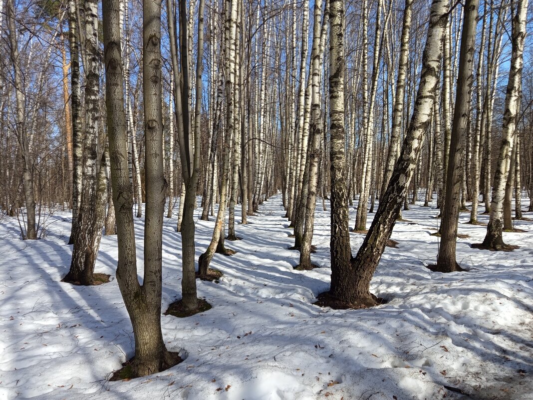 Март, которого жду целый год - Андрей Лукьянов