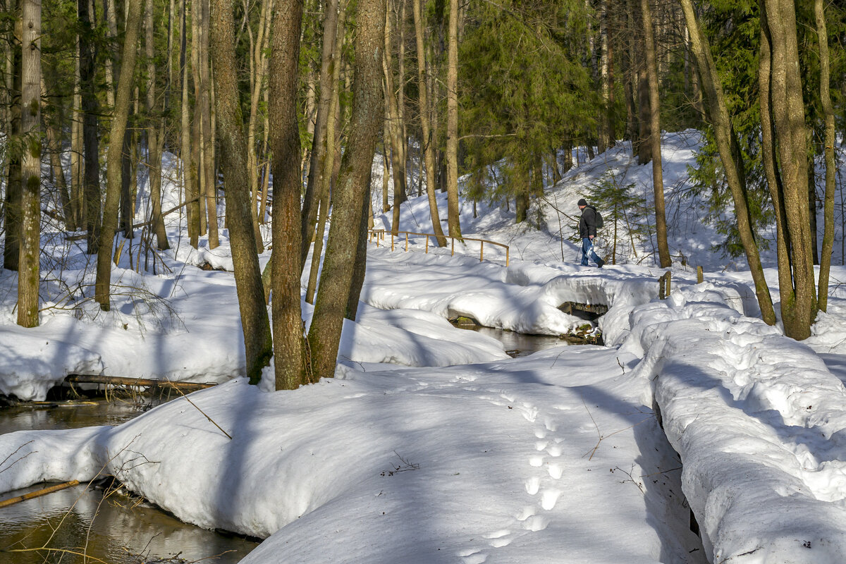 На родник за водой - Сергей Цветков На родник за водой - Сергей Цветков