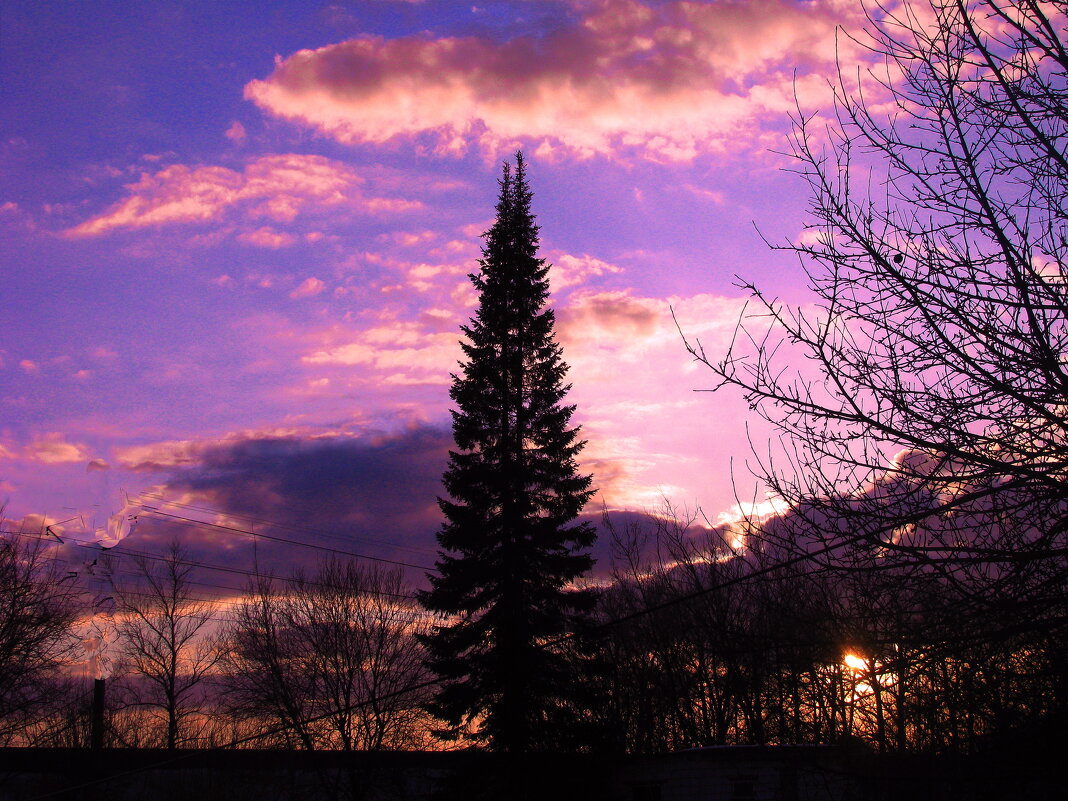 Красота вечерняя - Людмила Смородинская Красота вечерняя - Людмила Смородинская