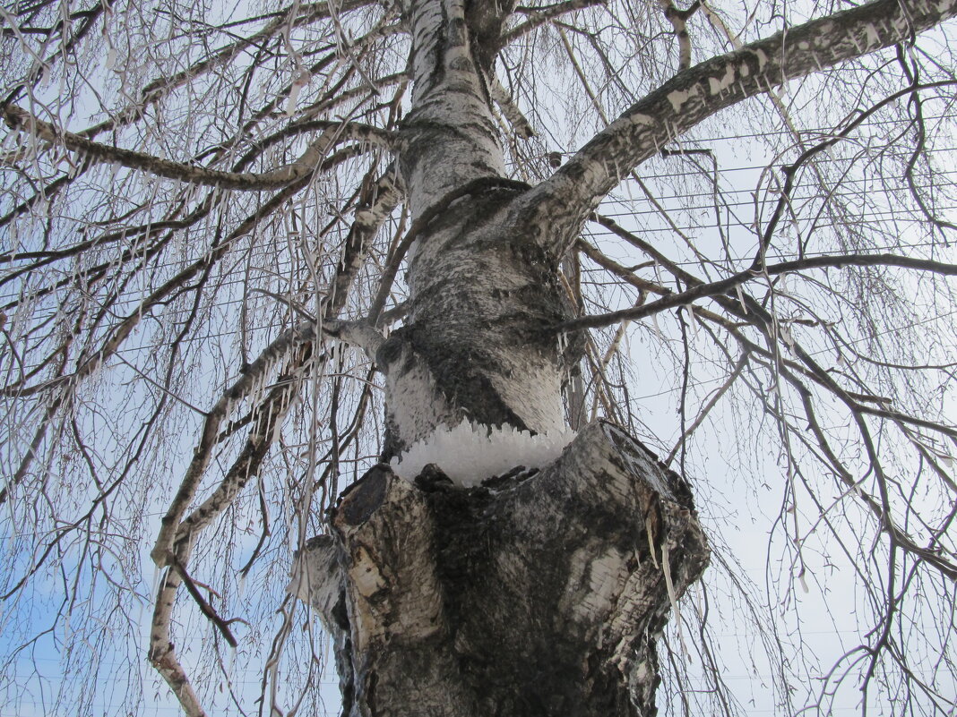 февраль - Елена Шаламова