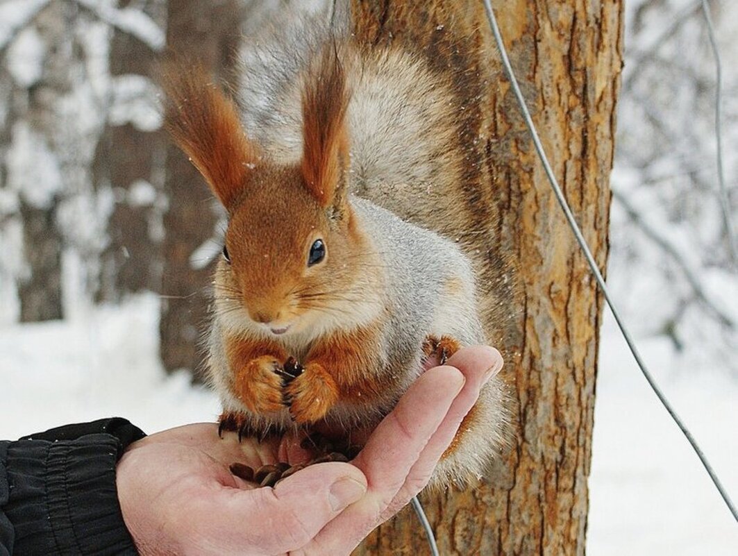 Улыбаемся! - Галина Нестратова