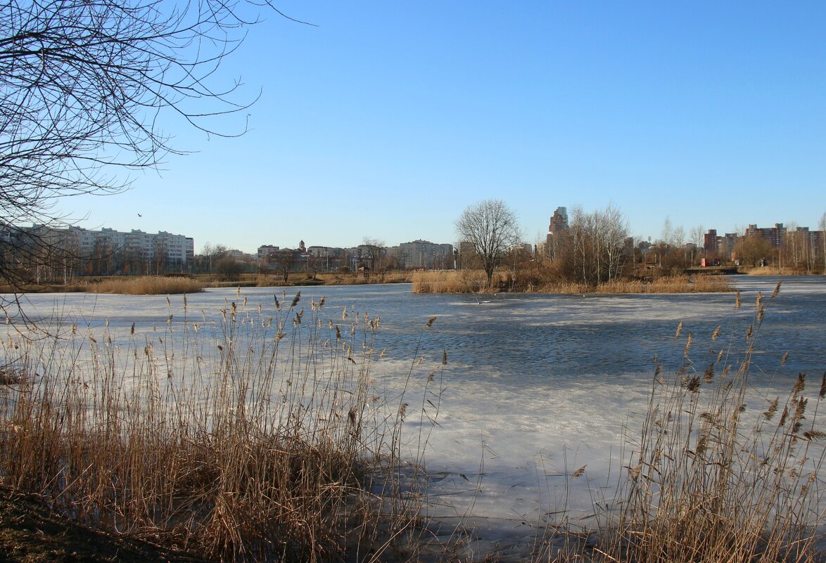 Весна в Купчино - Наталья Герасимова Весна в Купчино - Наталья Герасимова