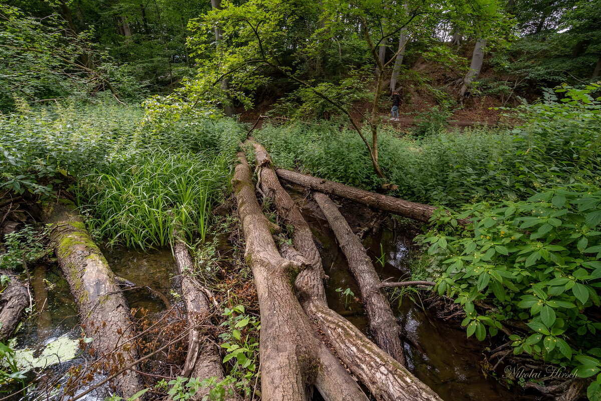 Завал... - Николай Гирш Завал... - Николай Гирш