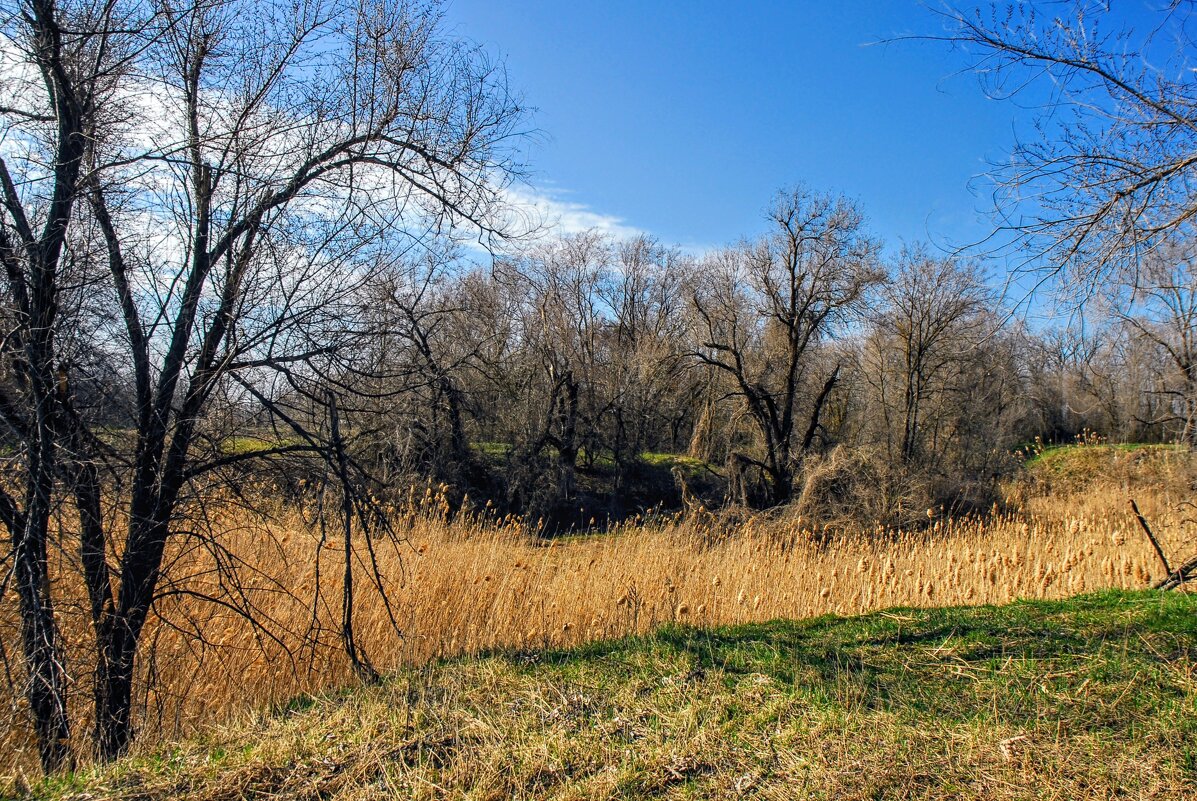 Весна. - Владимир 