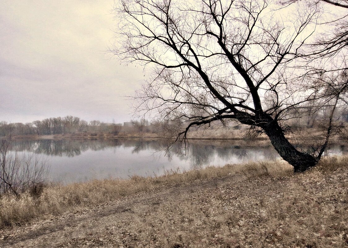 - - Aндрей Антонов