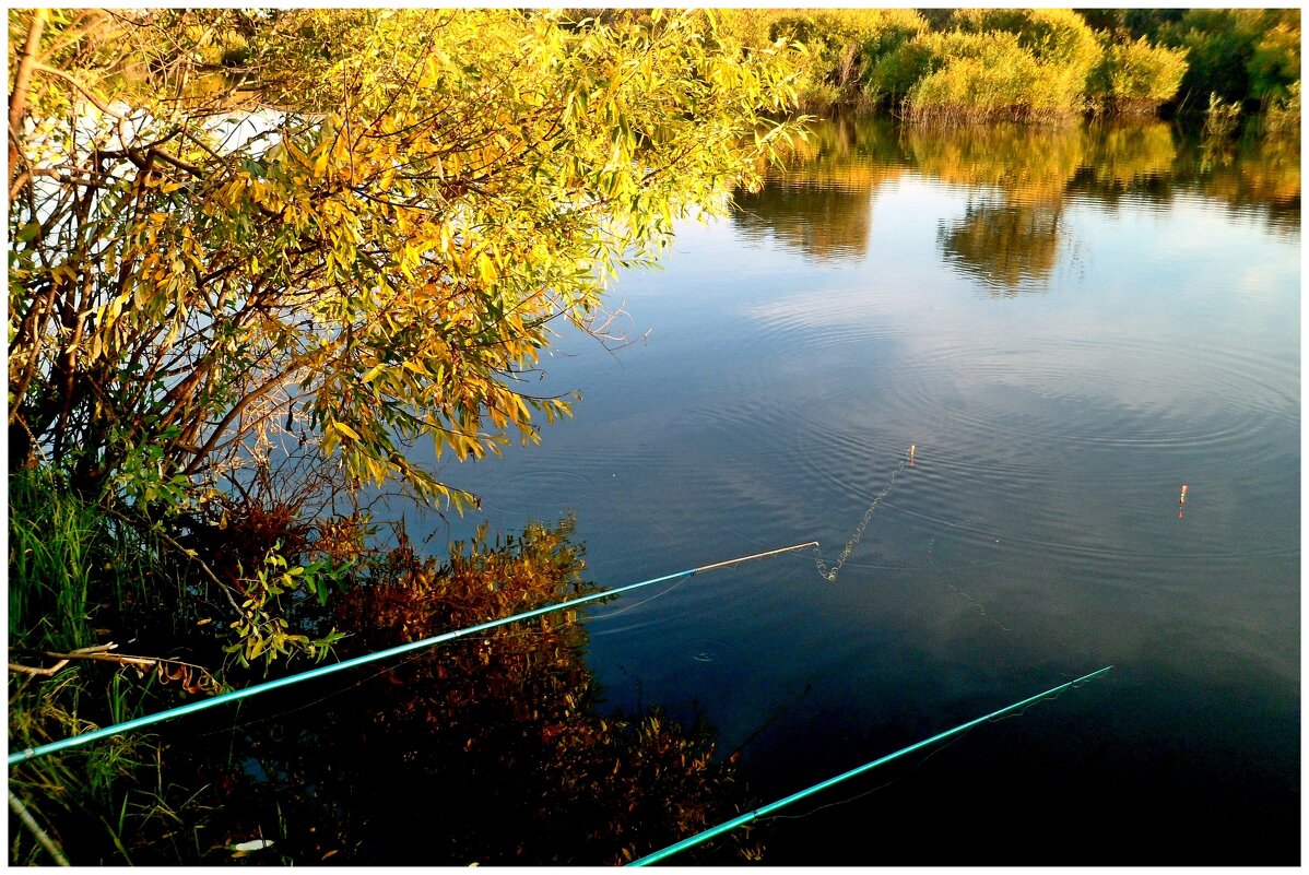 Рыбалка-моё увлечение. - Михаил К