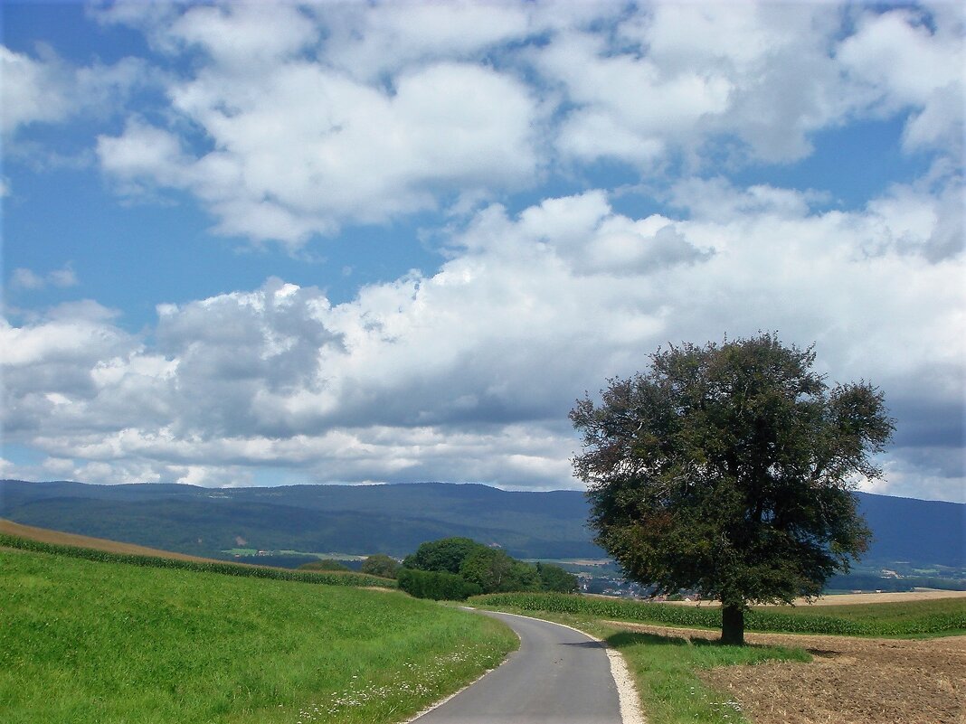 Эссертин-сюр-Роль - Галина 