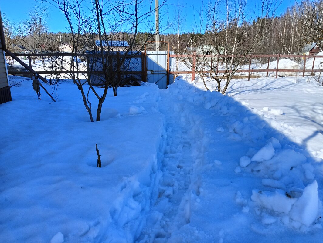 вход на садовый участок - Владимир 