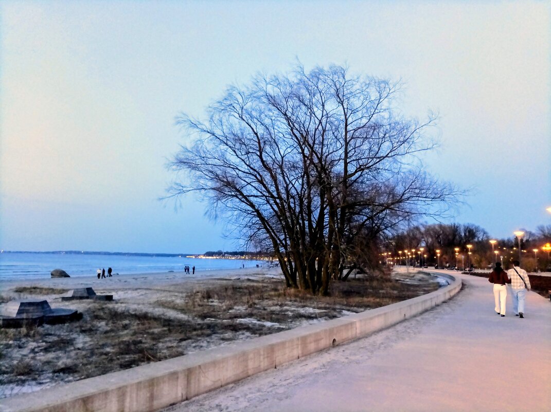 Весна, март - Veera V