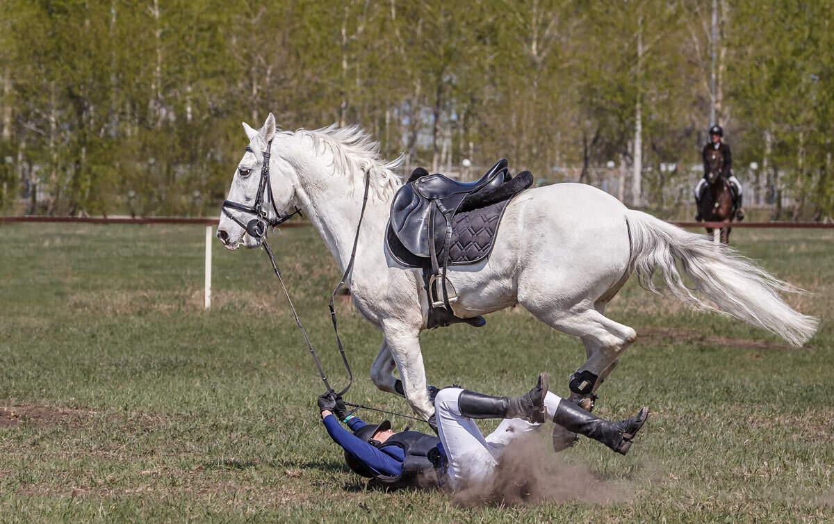 Конкур - SanSan 