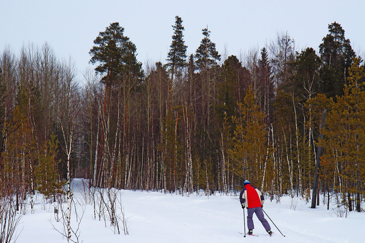 Март...На лыжах в тайгу! - Владимир 