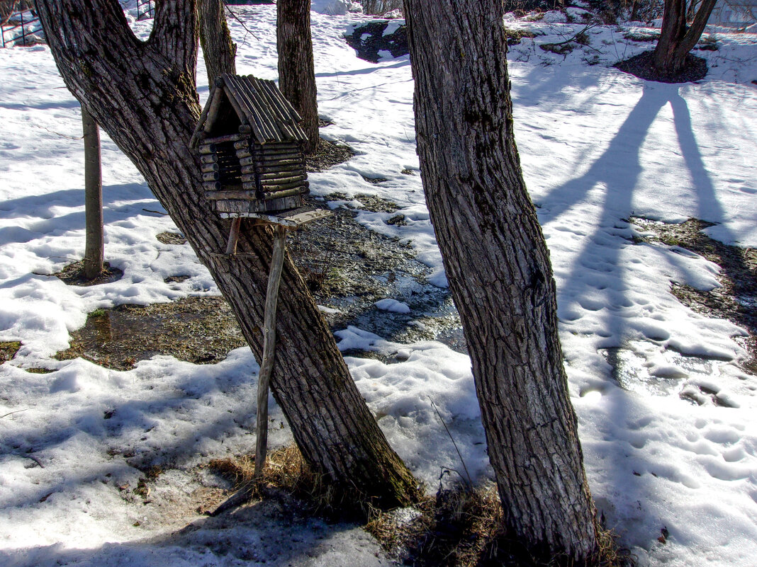 Избушка-кормушка. - Михаил "Skipper"