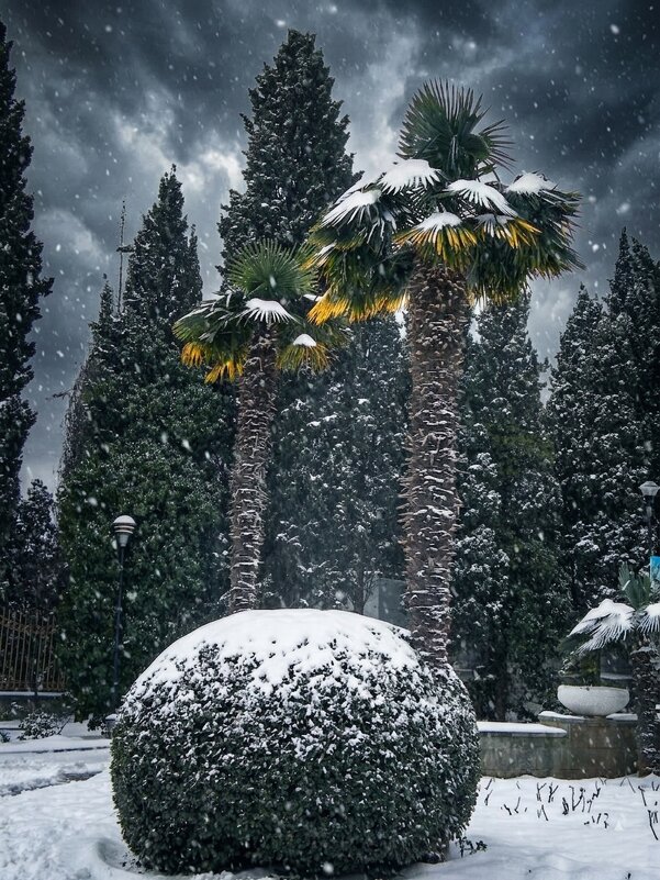 Редактировано с ИИ - Роман Савоцкий
