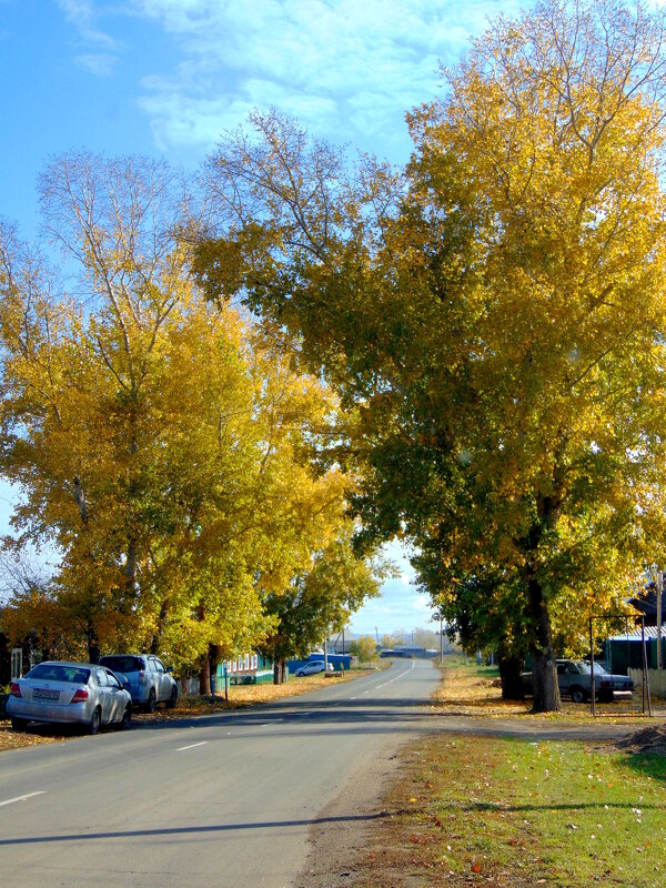 Осень на селе. - nadyasilyuk Вознюк