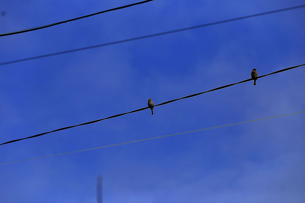 Собираются в дальние края:) - Юрий Гайворонскiий