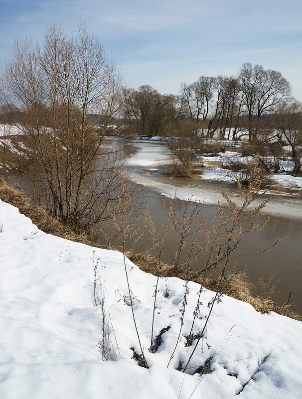 В начале половодья - Сергей Курников