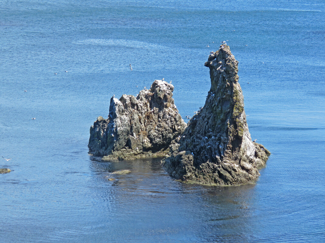 Мне эта скала напоминает павлина - ИРЭН@ .