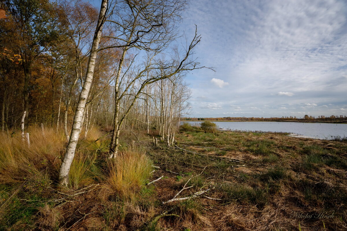 Путь к воде... - Николай Гирш