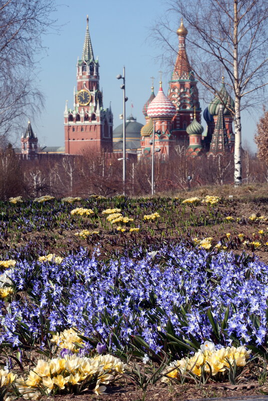 24 марта в Зарядье - Михаил Бибичков