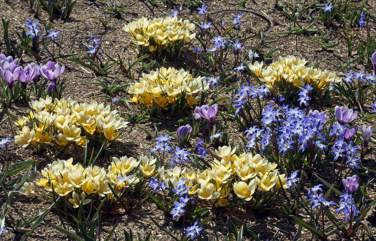 24 марта в Зарядье - Михаил Бибичков