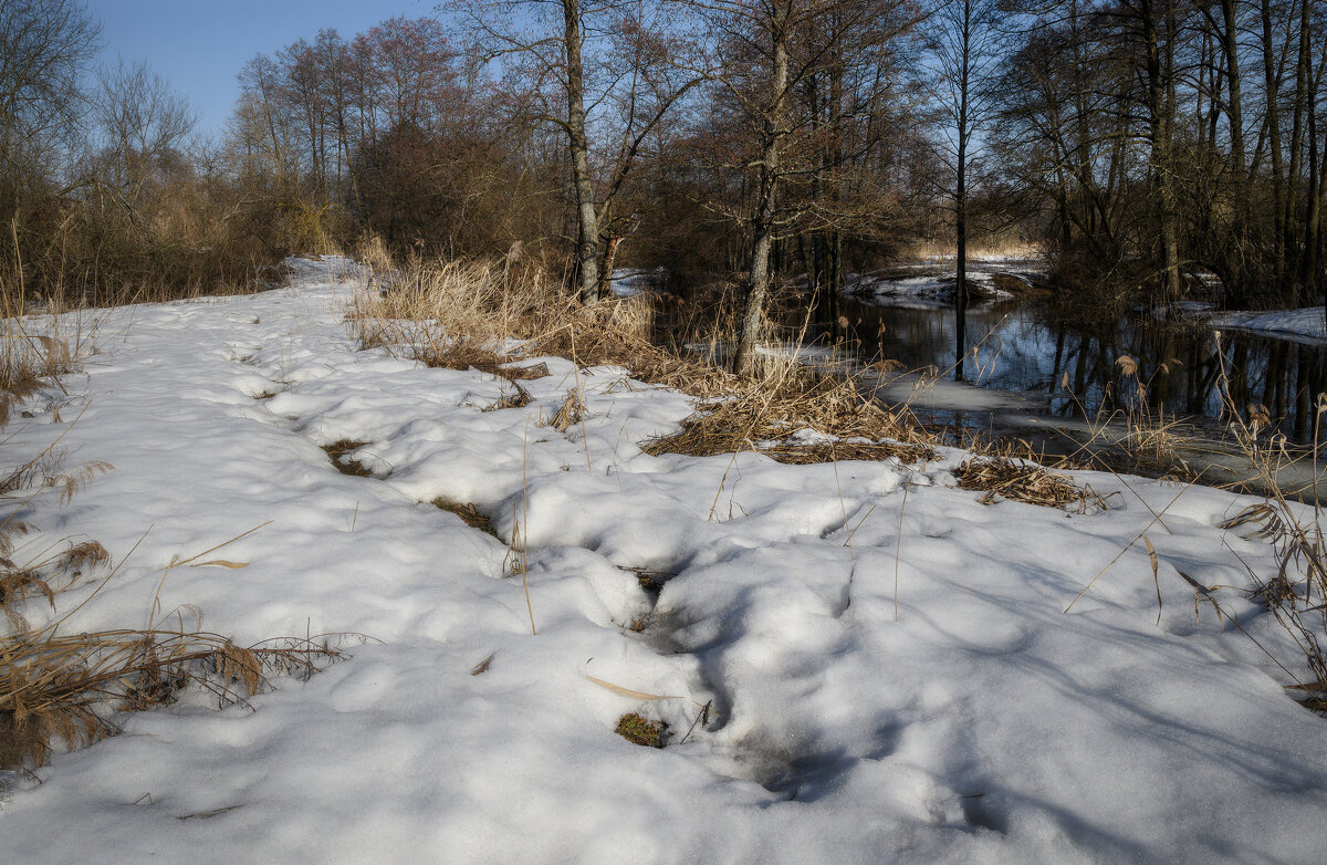 По весеннему снежку - Валерий VRN