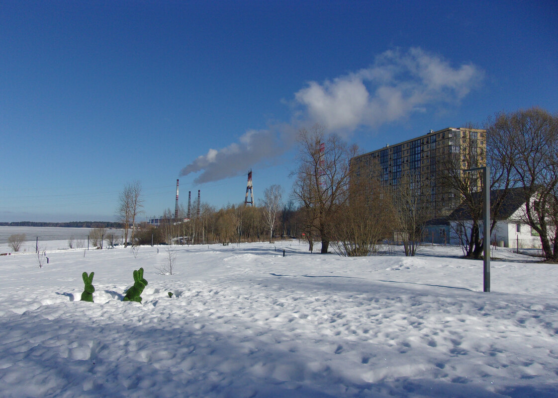 Зайцы зеленеют, солнышко блестит... - Михаил "Skipper"