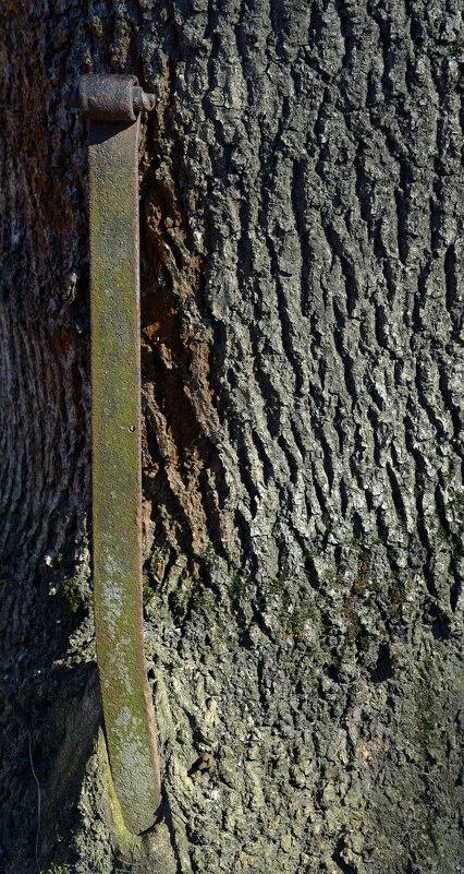 Живое побеждает. - Константин Белоногов