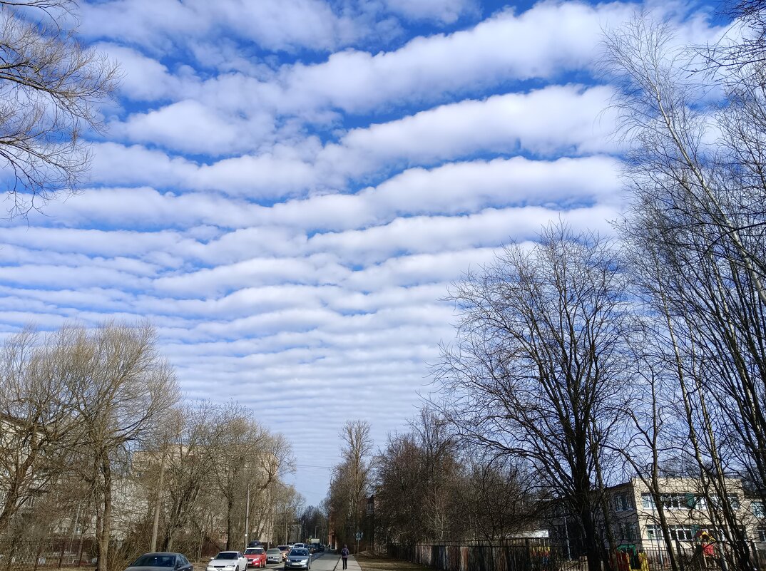 Красота небесная - Мария Васильева