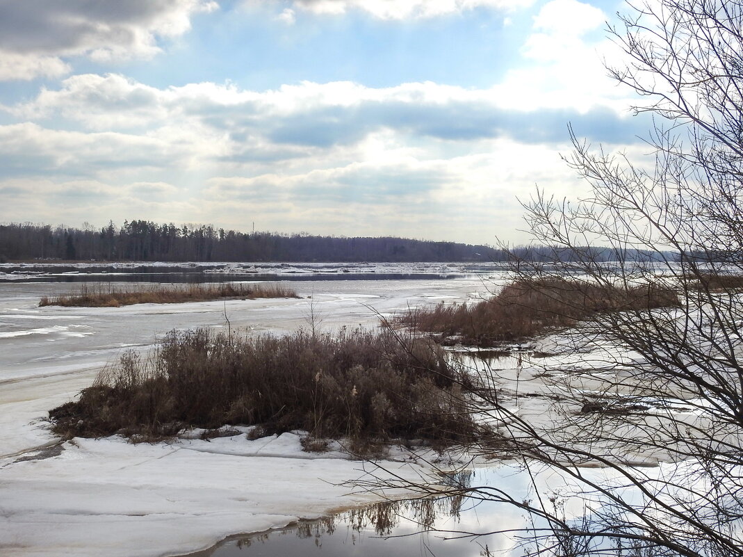 весна - ИННА ПОРОХОВА