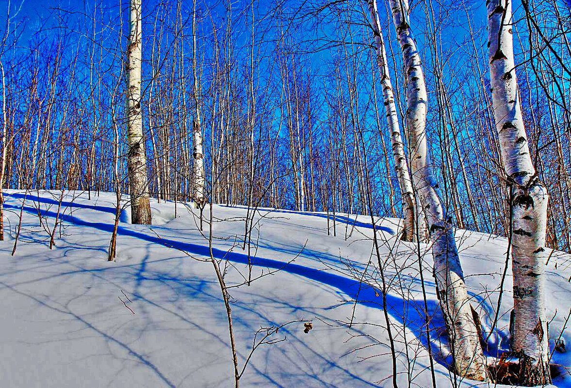 Март...Солнечный взгорок! - Владимир 