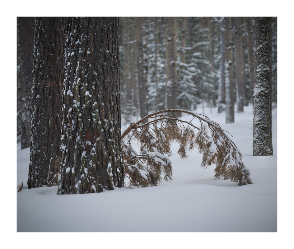 * - Александр Иванов