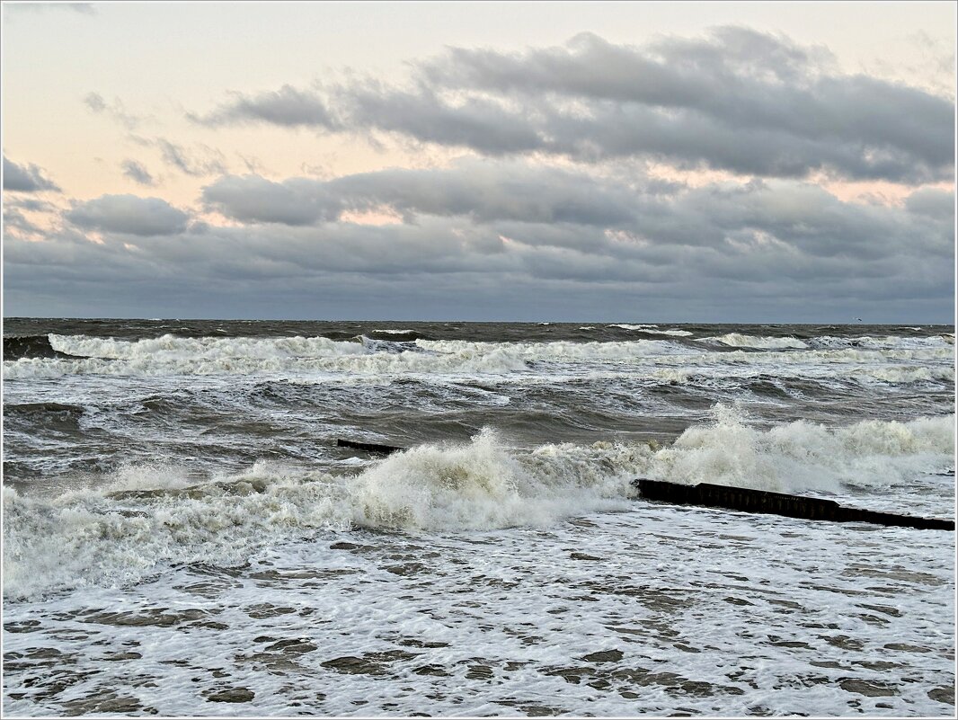 Море волнуется. - Валерия Комова