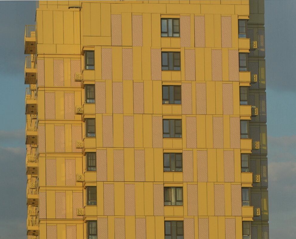 Дом по реновации - Анастасия Смирнова