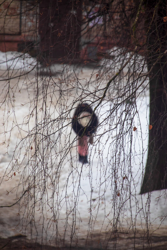 На улице - Sergei Vikulov