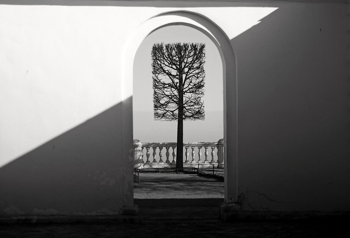 *** - Сергей Григорьев