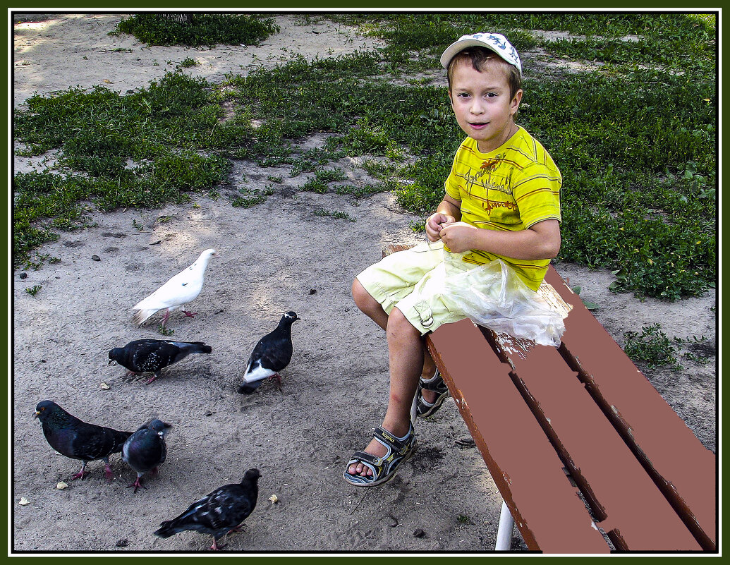 Тёма и голуби - Владимир Кроливец