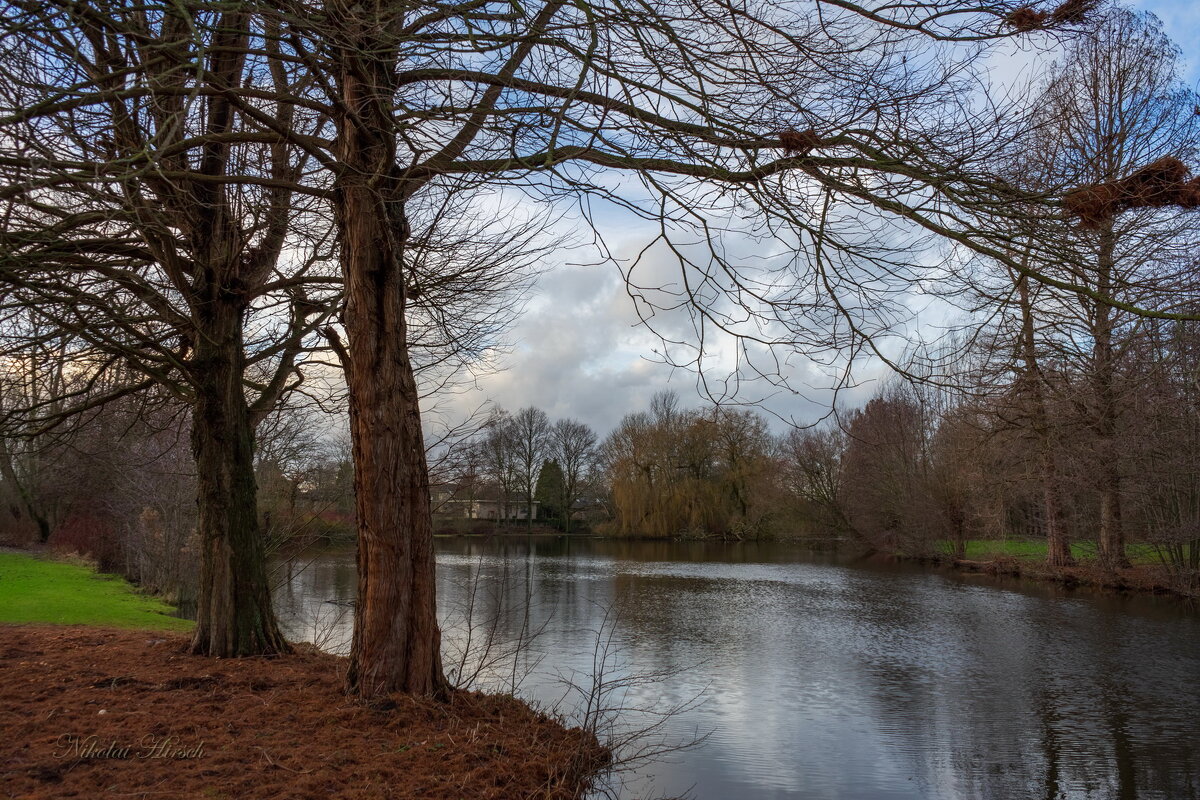 Уютный январь... - Николай Гирш
