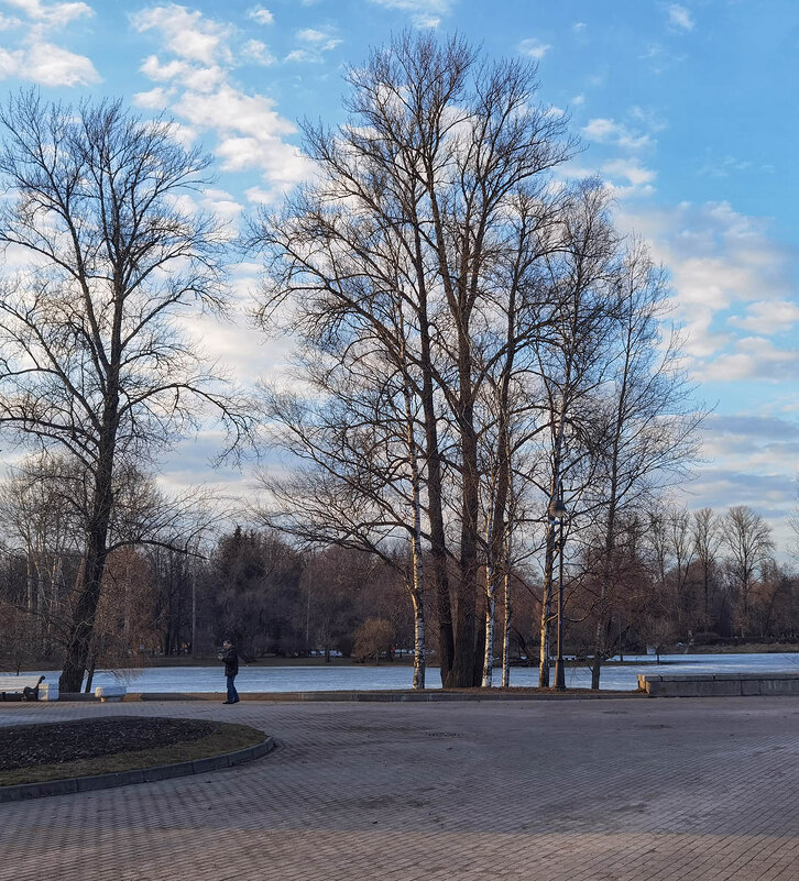 Весенние зарисовки. Весна в парке Победы. - Лилия *