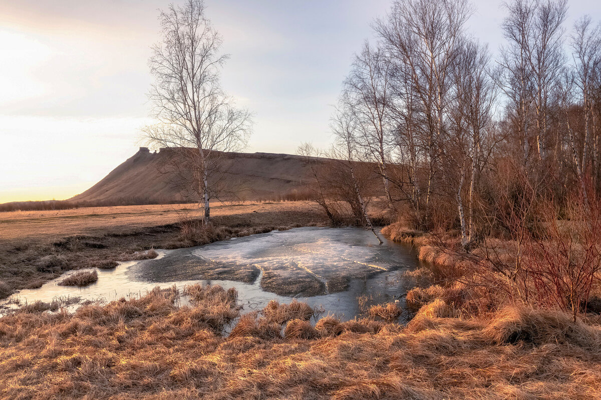 Весенний рассвет - Марина Фомина. Весенний рассвет - Марина Фомина.