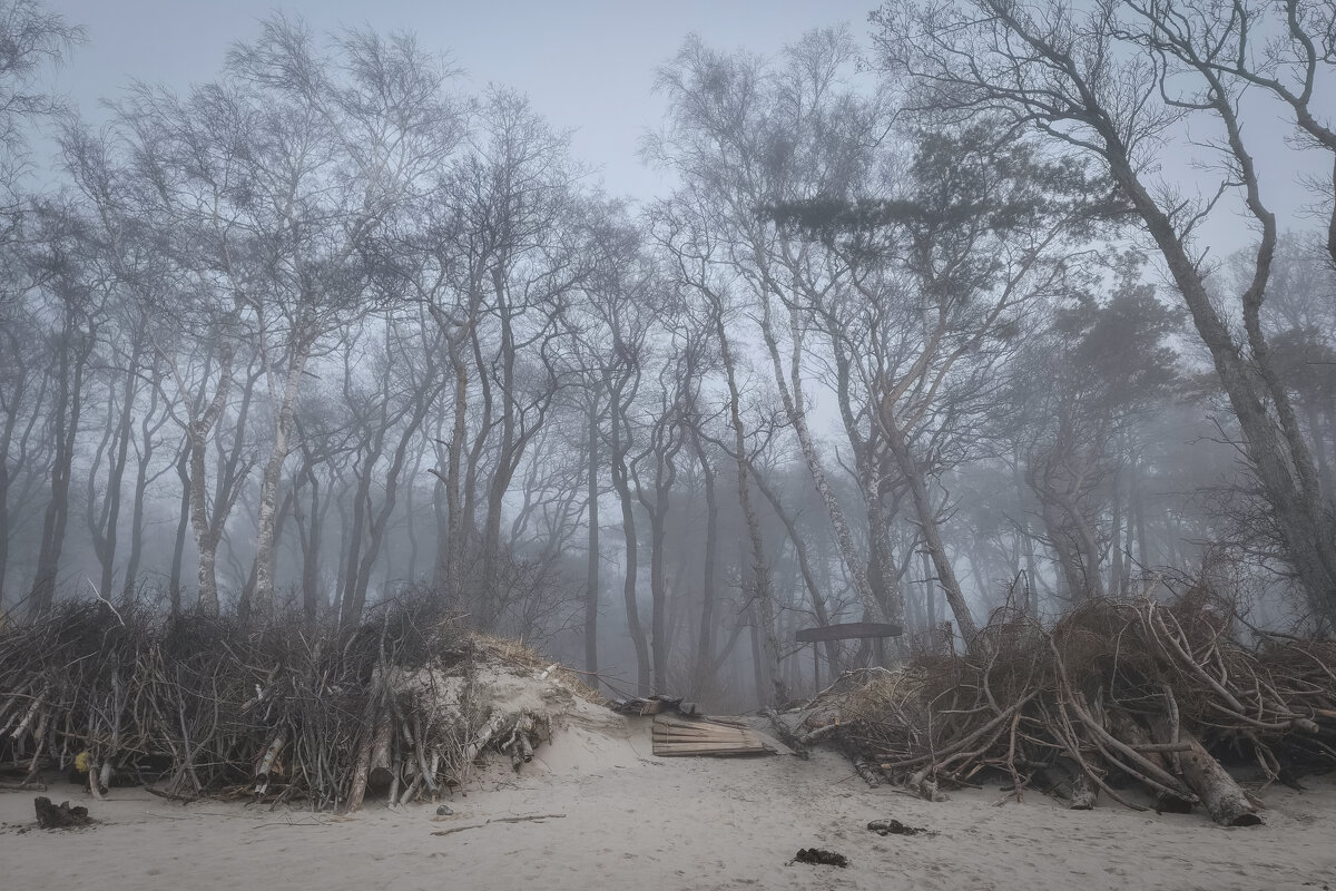 Туман - Sergey Туман - Sergey